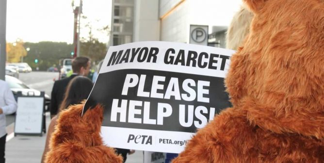 Protester dressed as cat holds sign reading, "Mayor Garcetti, please help us"