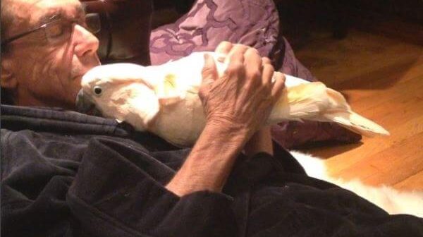 Photo of Iggy Pop snuggling with bird Biggy Pop, pulled from his Instagram post