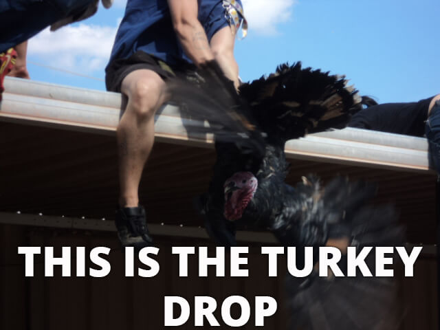 turkey drop in arkansas