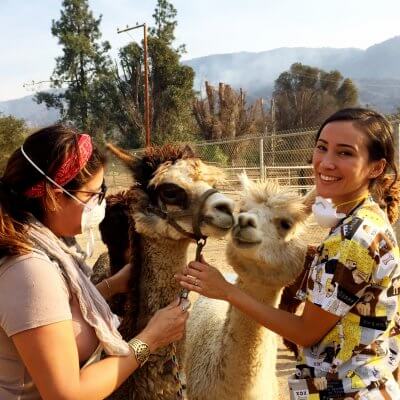 PETA Veterinarian Helps Wildfires' Animal Victims