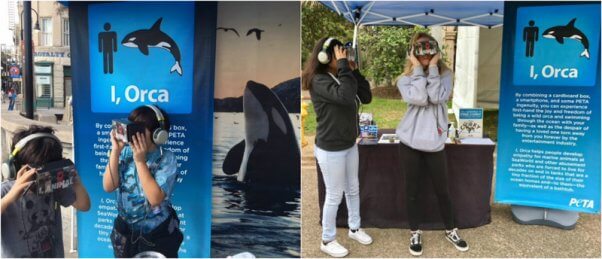 people try out PETA's "I, Orca" virtual reality experience