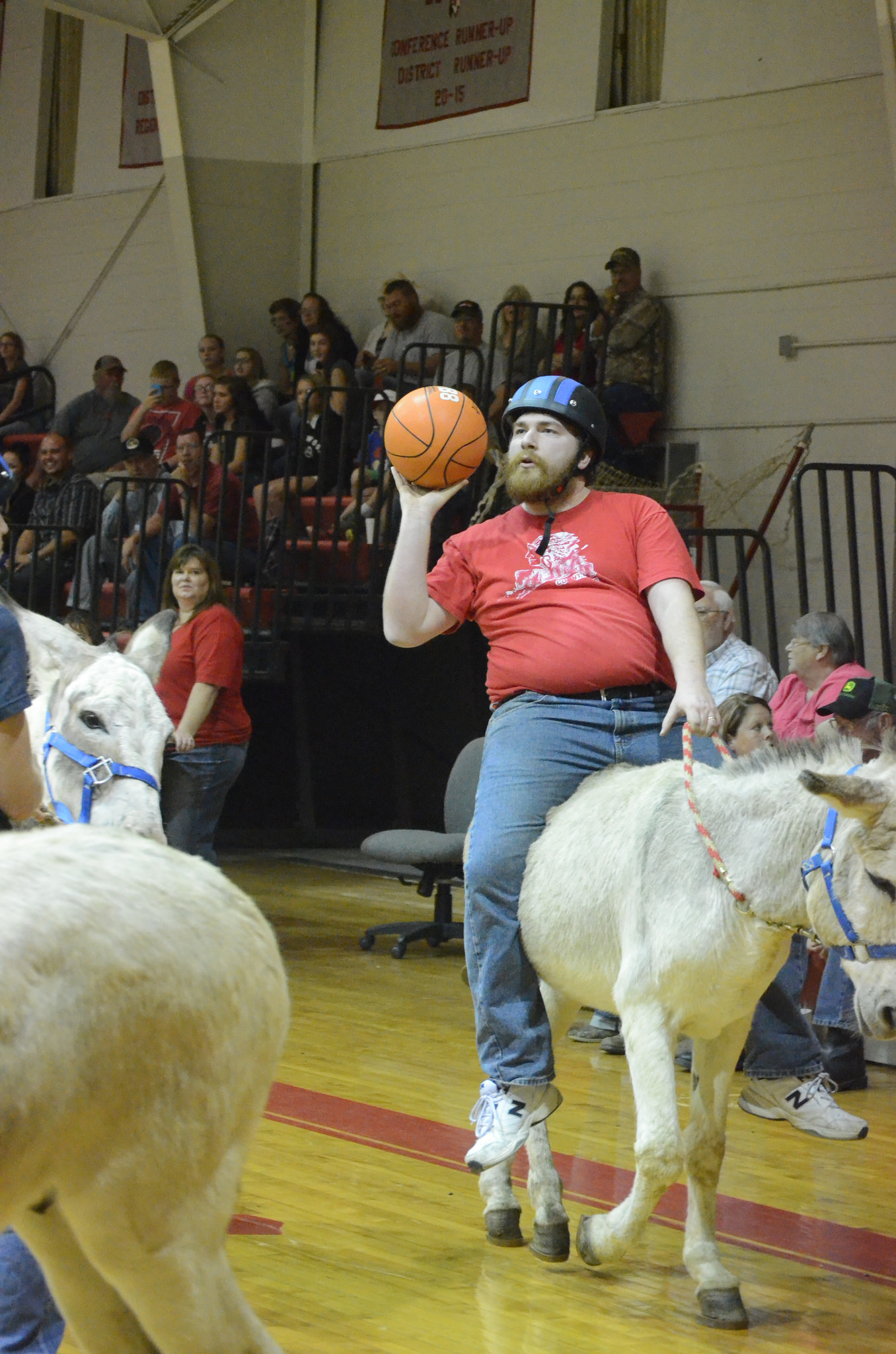 Donkey Basketball Fundraisers Disturbing and Inhumane PETA