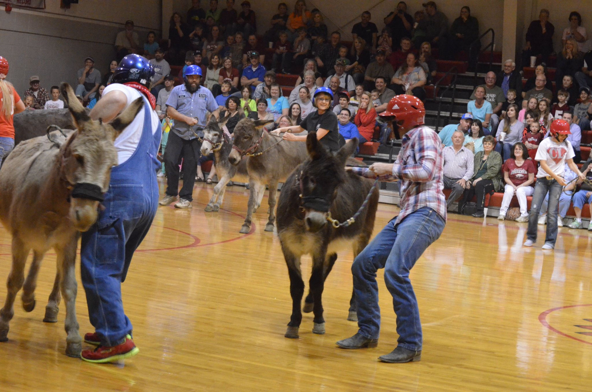 Donkey Basketball Fundraisers Disturbing and Inhumane PETA