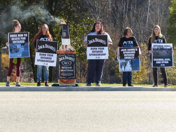 PETA activists pressure Jack Daniels to drop its Iditarod sponsorship