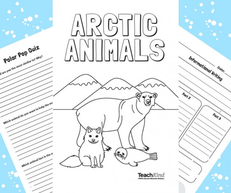 Amazing 'Arctic Animals' Printable Mini Book and Activity PETA