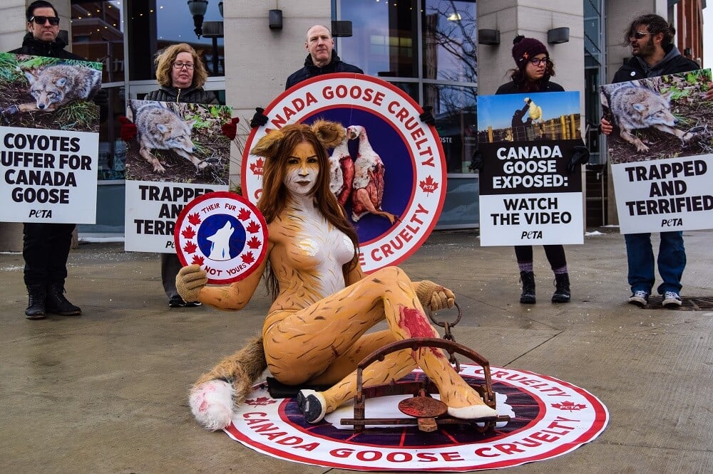 Photos: From Jack Daniel's to Canada Goose, PETA Protests to Save