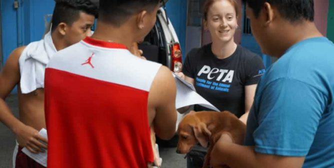 A woman wearing a PETA t-shirt talking to three young men, one holding a puppy