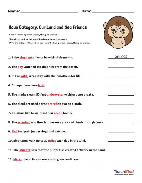 Grades PreK-2 Printables | PETA