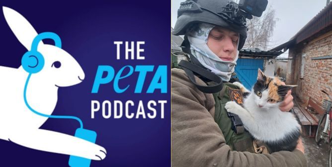 PETA podcast logo and rescuer holding cat