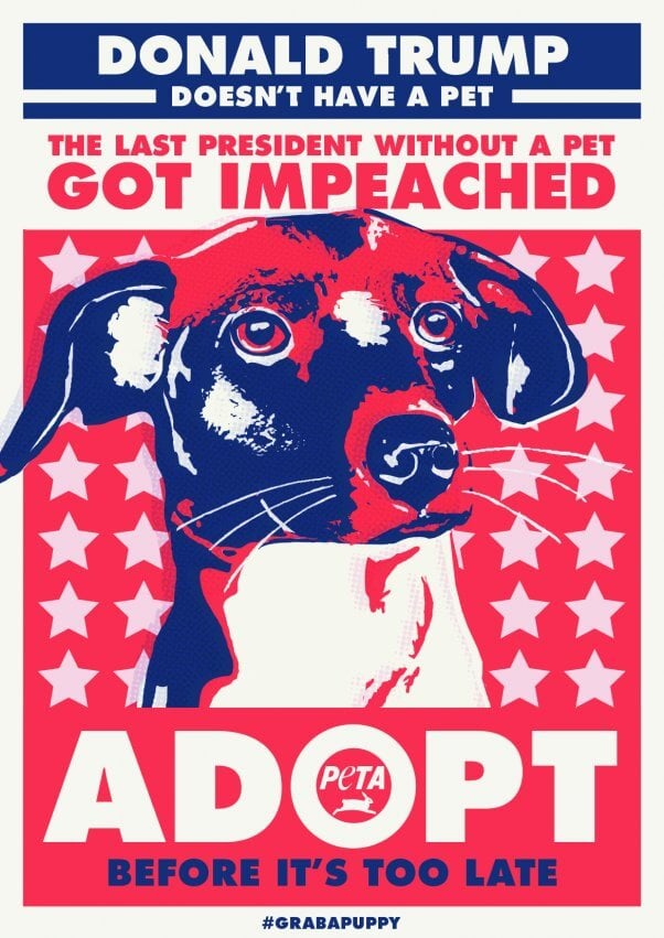 Why PETA Designed a 'Presidential' Ad for AdoptAShelterPetDay