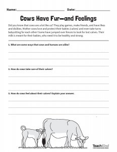 Helping a Local School Integrate Compassion for Animals (Worksheets ...