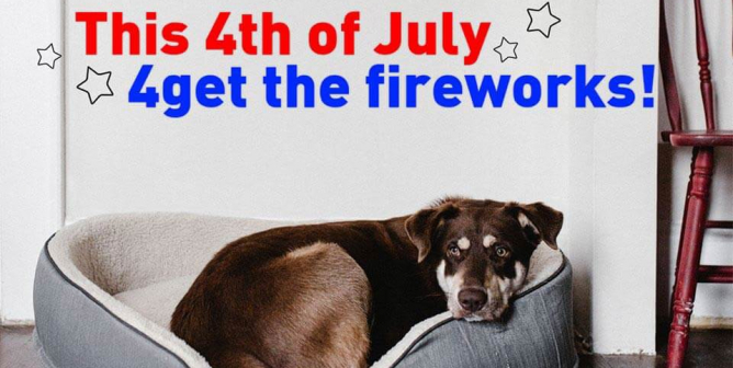forget fireworks - keep animals safe this 4th of july