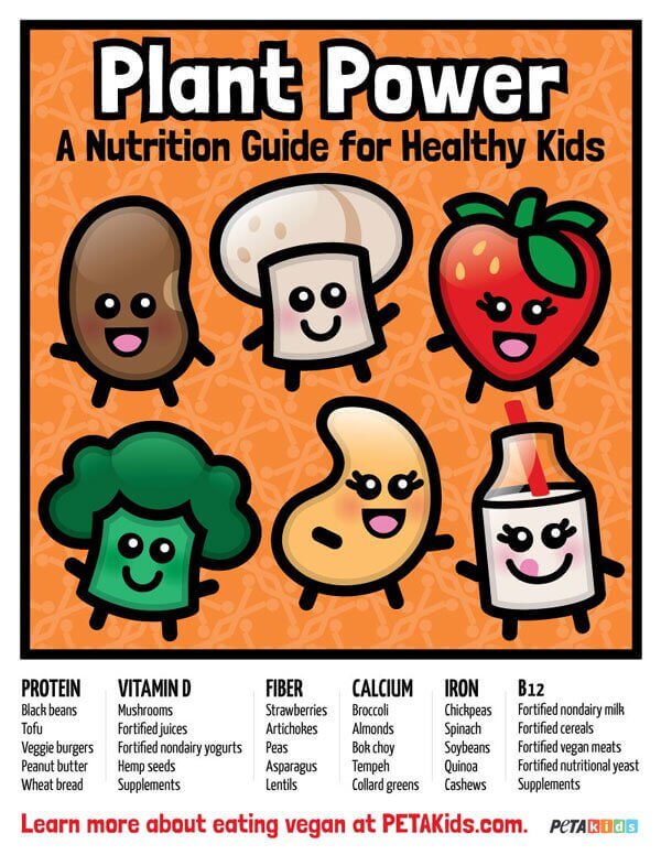 Vegan nutrition for children