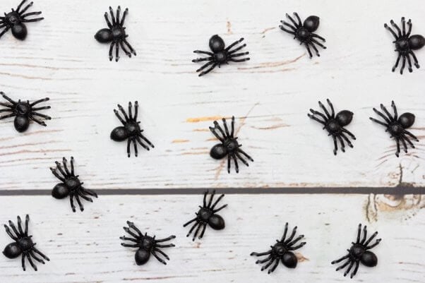 black toy spiders on white table
