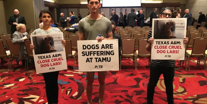 three protesters hold signs at a Texas A & M meeting