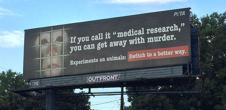 people-for-the-ethical-treatment-of-animals-peta-the-largest-animal