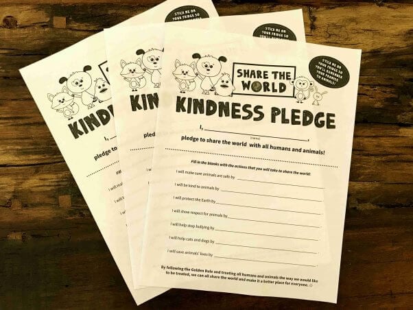 Order a Class Set of Kindness Pledges | PETA