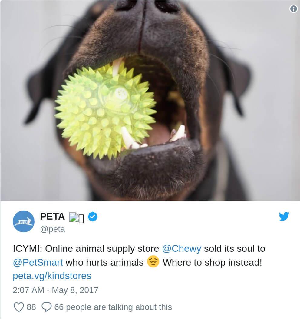 chewy online pet store