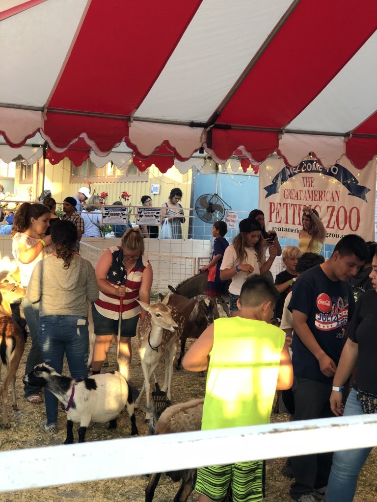 Animal Attractions at Fairs Are the Worst (Updated 2018) | PETA