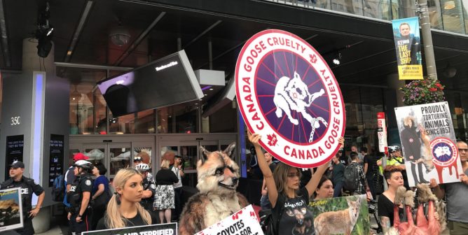 Canada Goose protest at Toronto International Film Festival
