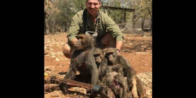 blake fischer, idaho fish and game commissioner, poses with dead bodies of family of baboons he killed trophy hunting