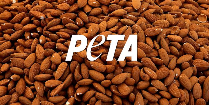 peta lists the reasons why almond milk is better than cow's milk