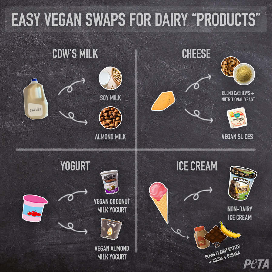 Vegan dairy substitutes
