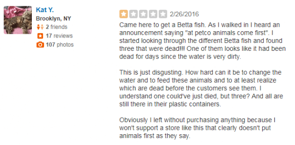 Bad Petco Yelp Review about Betta Fish
