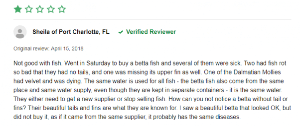 one star petco review about dead betta fish