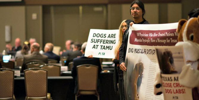 Doctors condemn TAMU dog labs