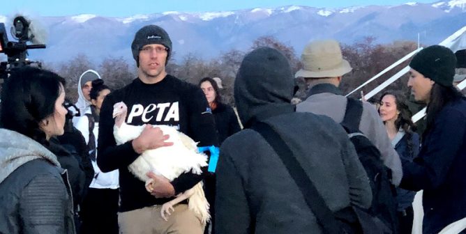 PETA Turkey rescue Thanksgiving