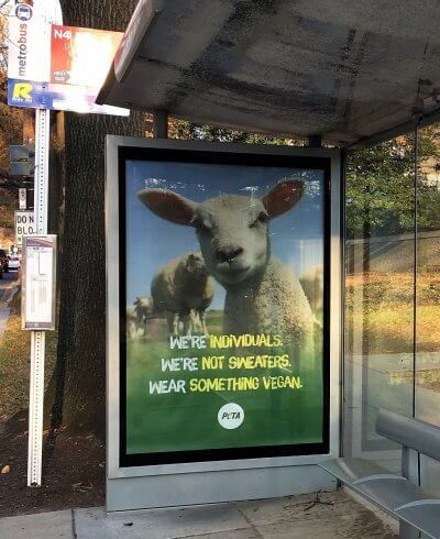 New Animal Ads Ask Shoppers to Wear Something Vegan | PETA