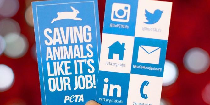peta job card over a red background