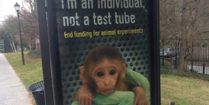 National Institutes of Health Bus Shelter Ad