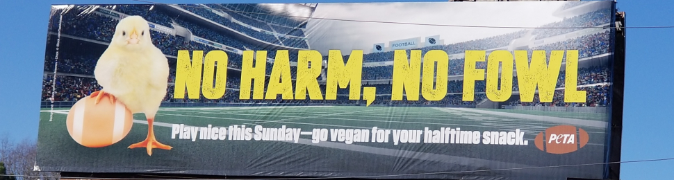 super bowl 2019 vegan halftime snack billboard