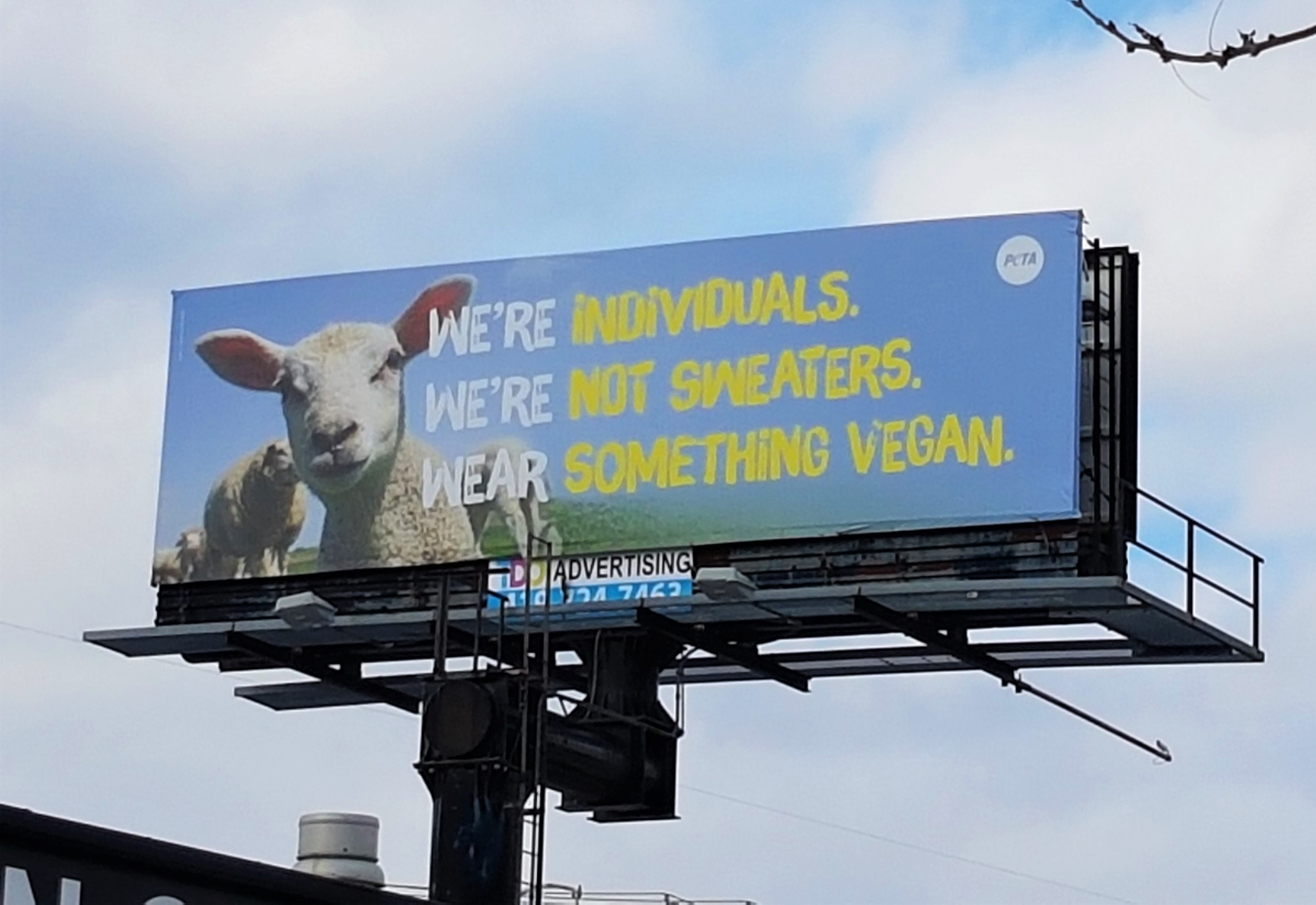 'Wear Something Vegan' Anti-Wool Ad Now Up | PETA