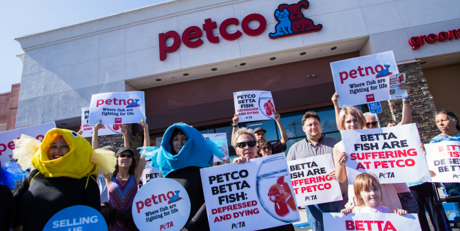 petco goes public, peta buys stock