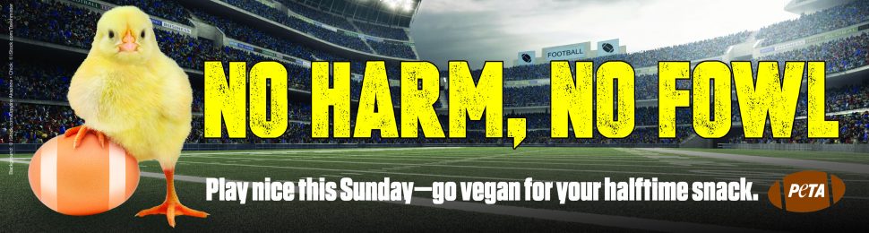 Superbowl Billboard No Harm No Foul Go Vegan