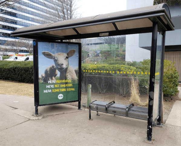 Wear Something Vegan Bus Ad in Stamford Connecticut