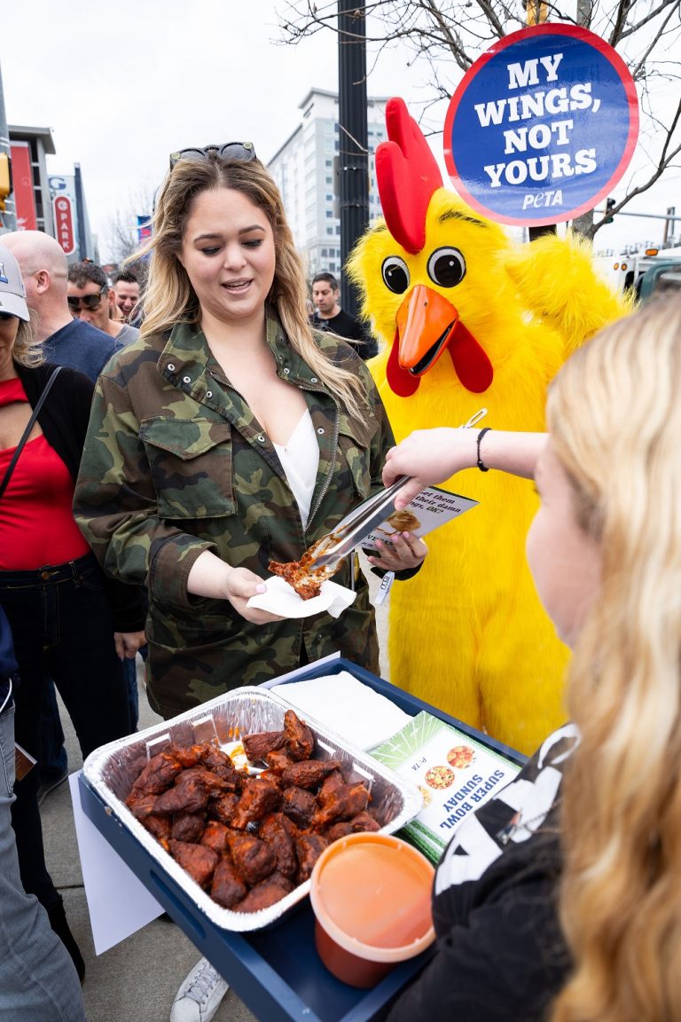 How PETA Saved Chickens on Super Bowl Sunday | PETA