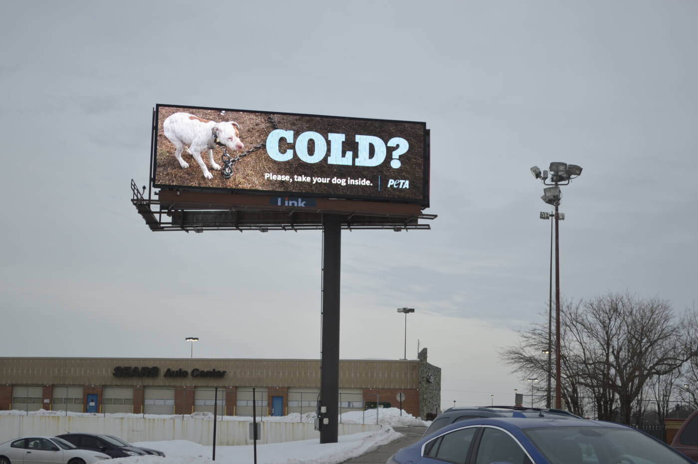 Omaha, NE Billboards | PETA