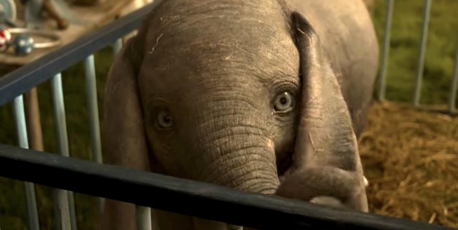 sad looking Dumbo the elephant
