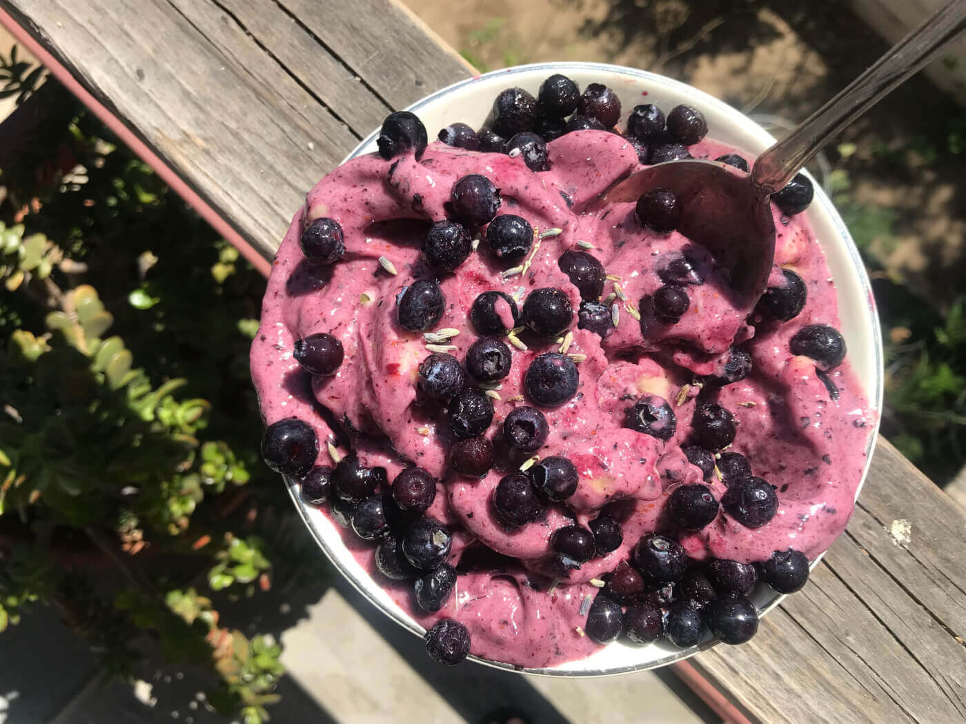 Blueberry–Lavender Nice Cream