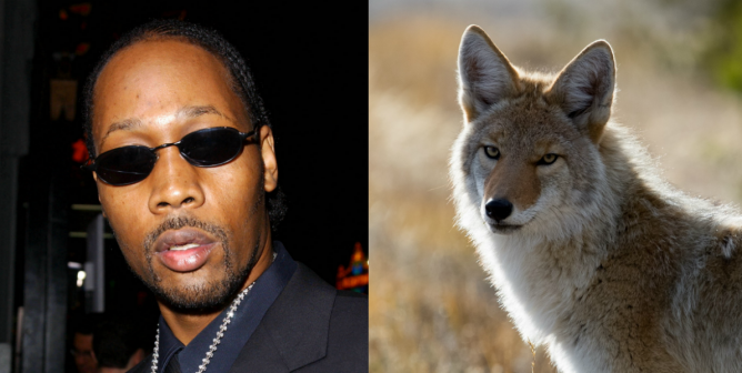RZA from Wu Tang Clan Joins PETA in Support of New York City Fur Ban