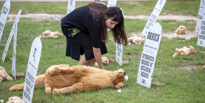 PETA pop-up dog graveyard at TAMU graduation ceremony 2019