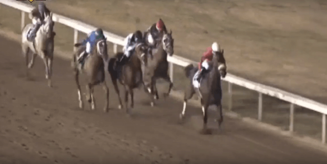 horse racing, jockey ramon vazquez