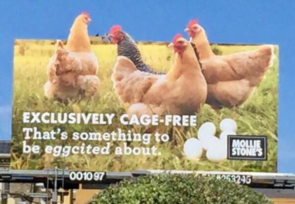 Mollie Stones Cage Free Eggs Billboard Closeup