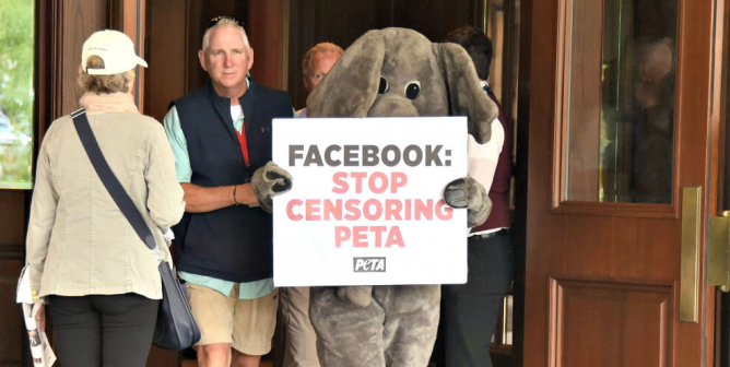 Facebook Demo PETA