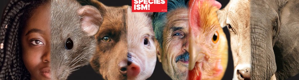 End Speciesism cover photo showing a woman, mouse, dog, pig, man, chicken, cow, and elephant