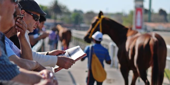 horse race, horseracing, spectators, betting